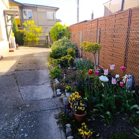 In Mi Dzyzdroje Near The Appartement *