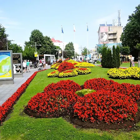 In Mi Dzyzdroje Near The * Miedzyzdroje